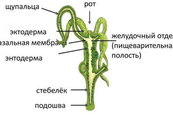 Блекспрут как подключить pgp 2fa