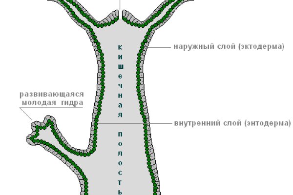 Официальная ссылка на blacksprut blacksprute com