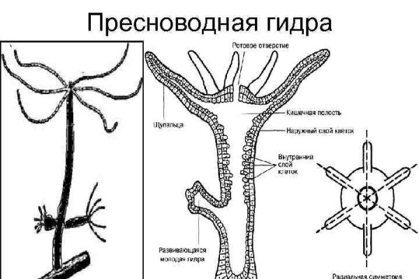 Блэк спрут ссылка пв