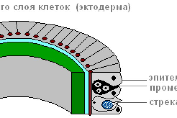 Блэкспрут onion ссылка 1blacksprut me