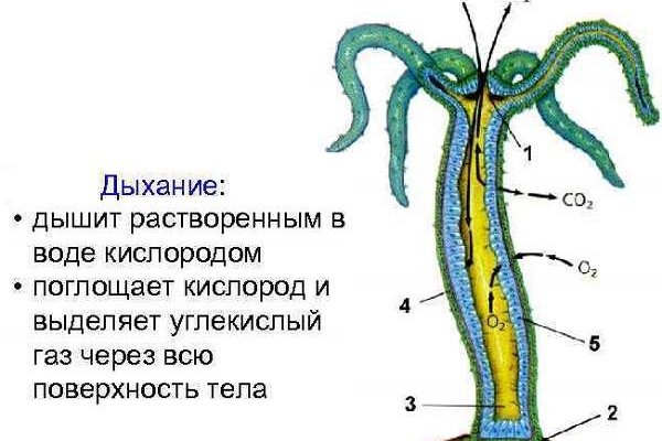 Ссылка блэкспрут 1blacksprut me